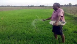 Kiran Chaudhary  JP Dalal  urea fertilizer   Haryana Assembly, किरण चौधरी जेपी दलाल यूरिया खाद हरियाणा विधानसभा सत्र