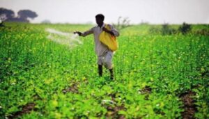 Kiran Chaudhary  JP Dalal  urea fertilizer   Haryana Assembly, किरण चौधरी जेपी दलाल यूरिया खाद हरियाणा विधानसभा सत्र