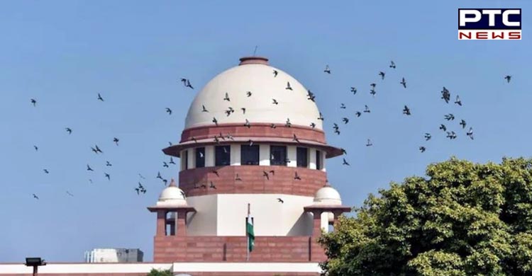 SC expresses concerns over fake medical certificates for availing Covid-19 relief