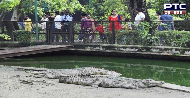Delhi zoo reopens, all tickets sold overnight