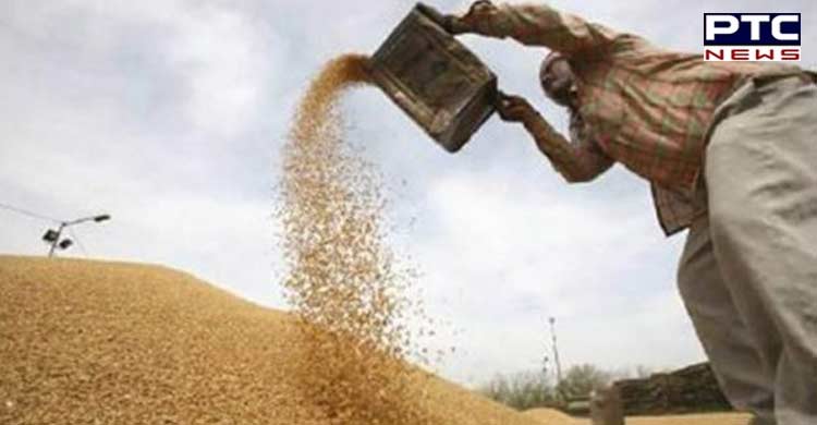 US hopes to convince India to 'reconsider' wheat exports ban decision
