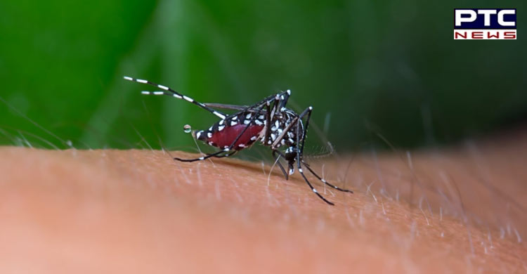 Mosquito-borne disease Japanese Encephalitis claims 44 lives in Assam