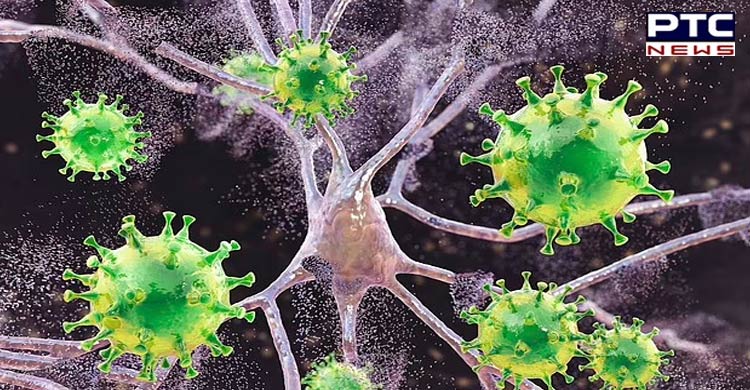 Assam witnesses jump in cases of Covid, Japanese Encephalitis