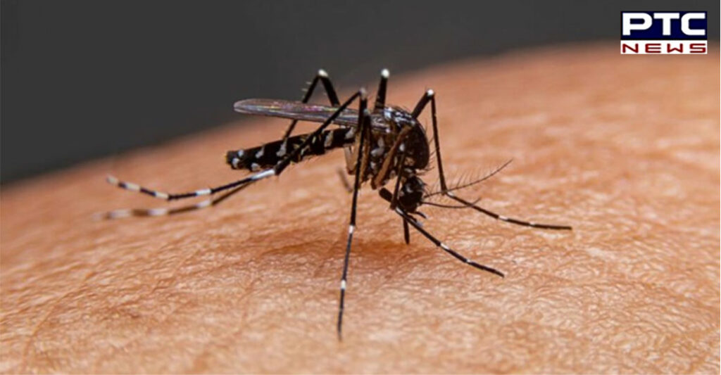 Dengue-scare-in-3-districts-of-UP-3