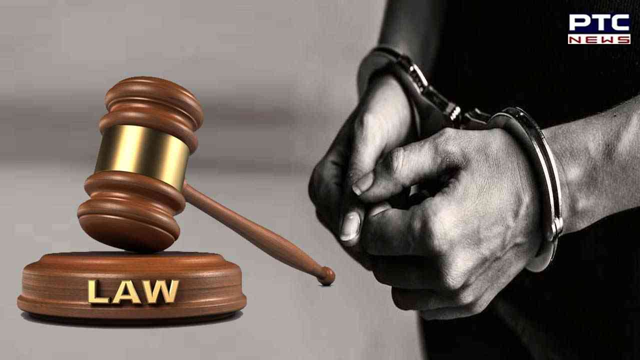 HC seeks govt, CBI's response in Patiala 'fake encounter'; links drawn to assault on Army colonel