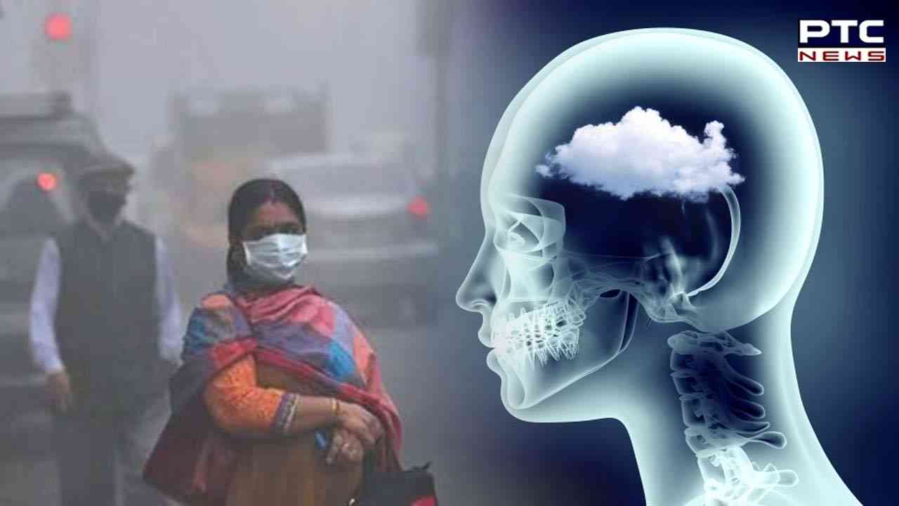 Inhaled toxic particles take direct route from lungs to brain: Study
