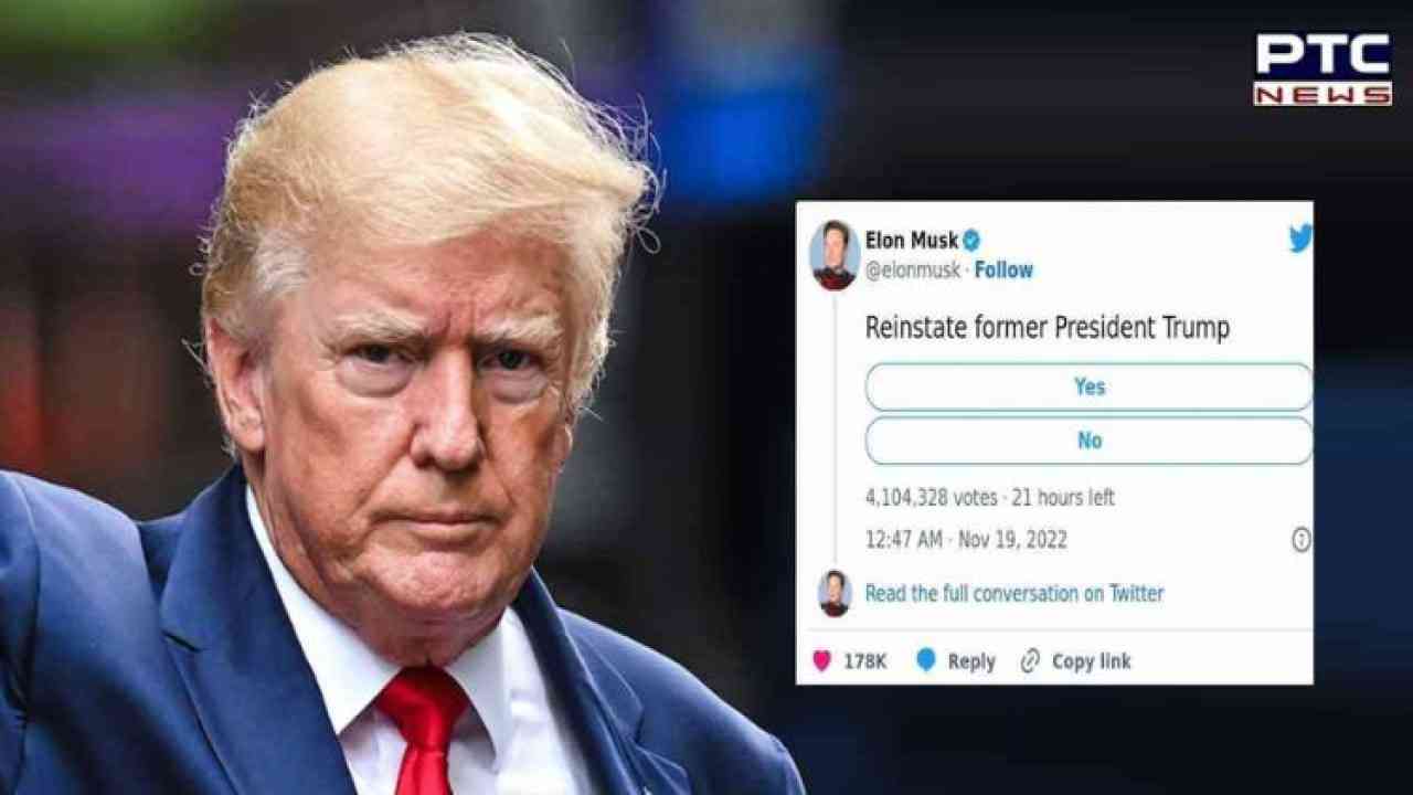 Trump makes comeback on Twitter as Musk confirms his account reinstatement