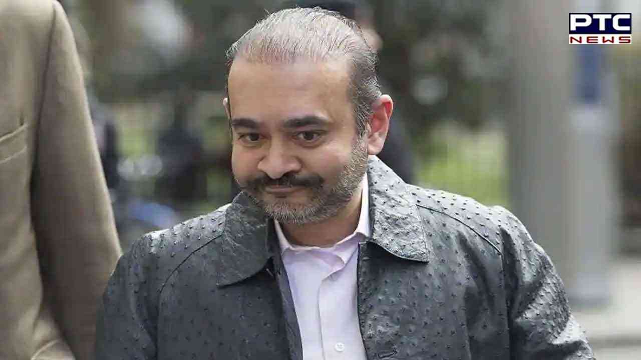 PNB scam case: Nirav Modi's brother-in-law turns approver, CBI court grants pardon