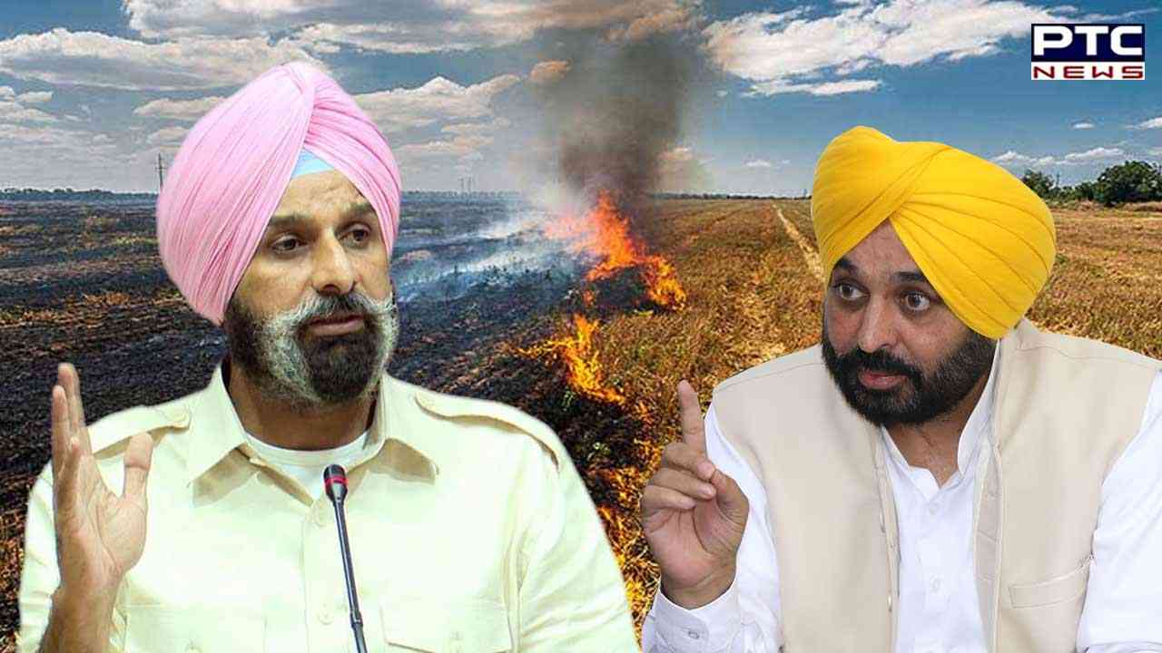 Stubble burning: SAD's Bikram Majithia seeks revocation of red entries in land records of Punjab farmers