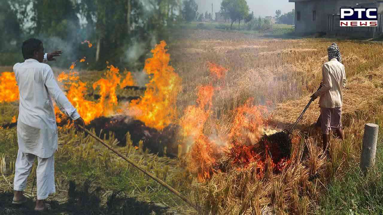 Stubble burning: Sharp increase in cases in Punjab; 24,000 reported so far