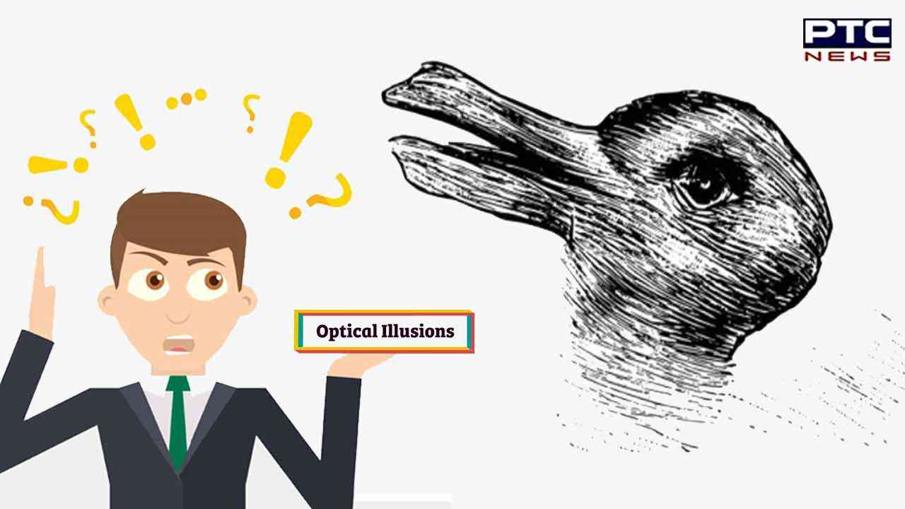 Optical Illusion: ਸਧਾਰਨ ਦਿਖਾਈ ਦੇਣ ਵਾਲੀ ਇਹ ਤਸਵੀਰ ਇੰਨੀ ਵੀ ਸਾਧਾਰਨ ਨਹੀਂ