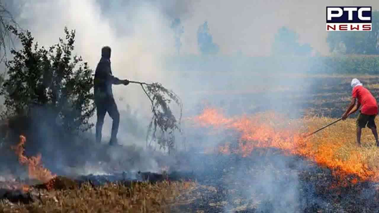 No scientific study links Punjab farm fire for Delhi’s pollution: Green Tribunal judge