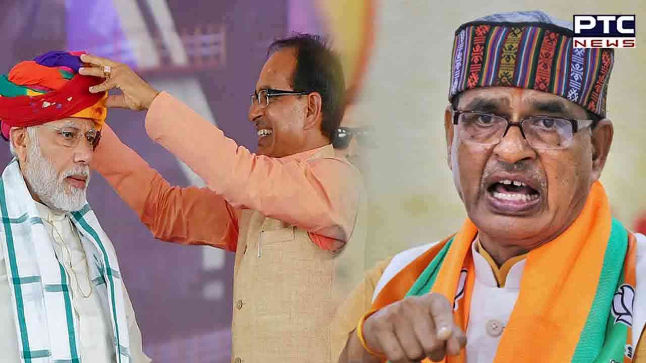 PM Modi is 'kalpavriksha', Kejriwal 'babul tree', Rahul Gandhi 'shrub': Shivraj Singh Chouhan in Gujarat