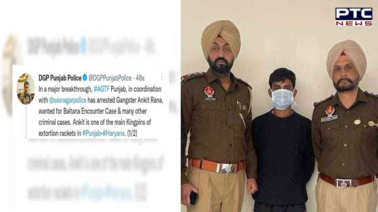 AGTF arrests main shooter of Bhupi Rana gang from Barwala