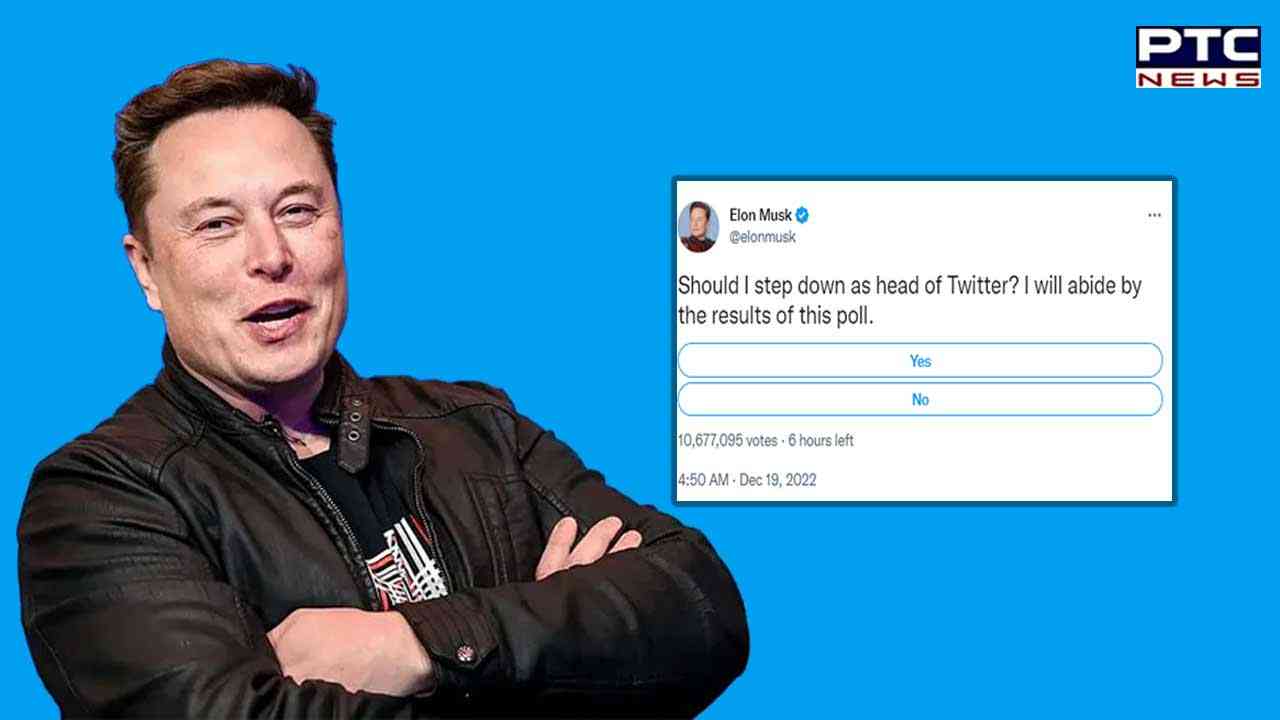 Chief Twit Elon Musk to step down as head of Twitter ? Check out his latest poll