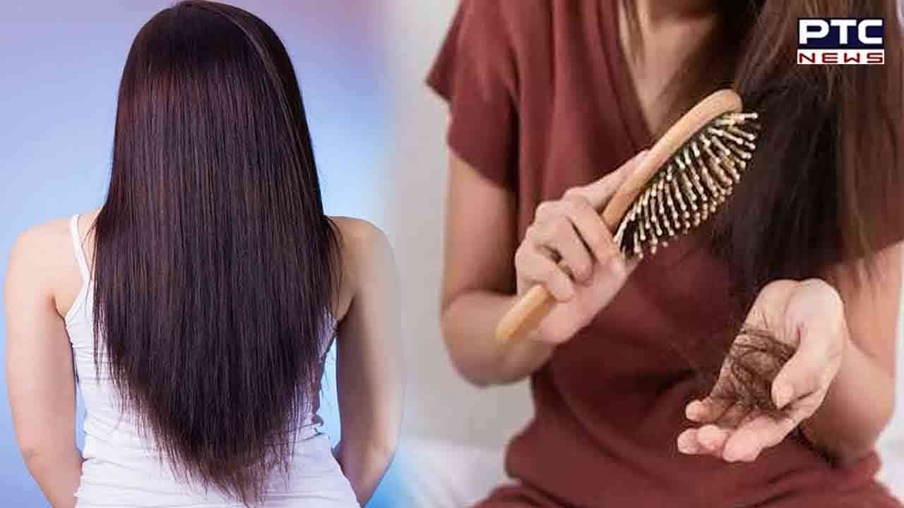 ਕੀ ਤੁਹਾਨੂੰ ਵੀ ਸਤਾ ਰਿਹਾ ਹੈ ਗੰਜੇਪਣ ਦਾ ਖਤਰਾ, ਤਾਂ ਪੜ੍ਹੋ ਇਹ ਖ਼ਬਰ