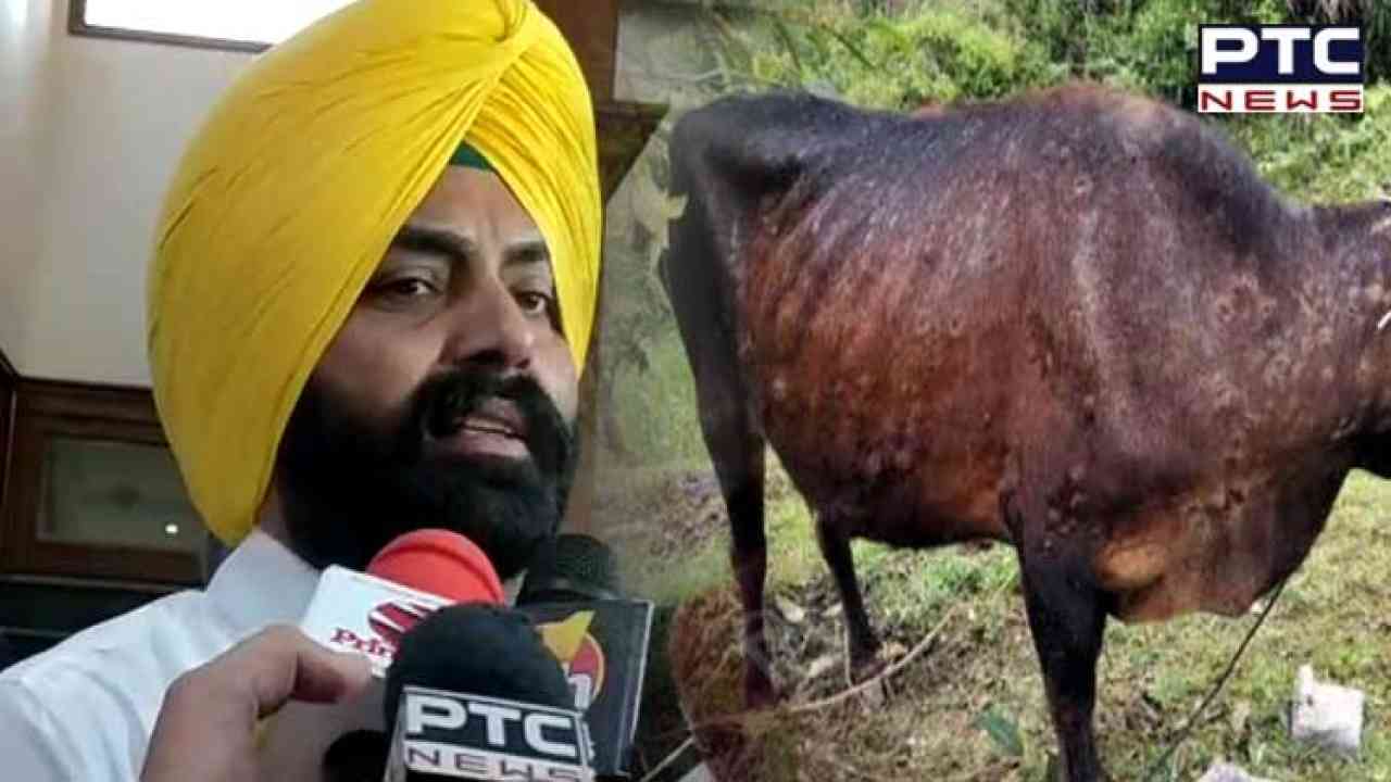 APP govt in Punjab effectively dealt with lumpy skin disease in cattle, claims Laljit Bhullar