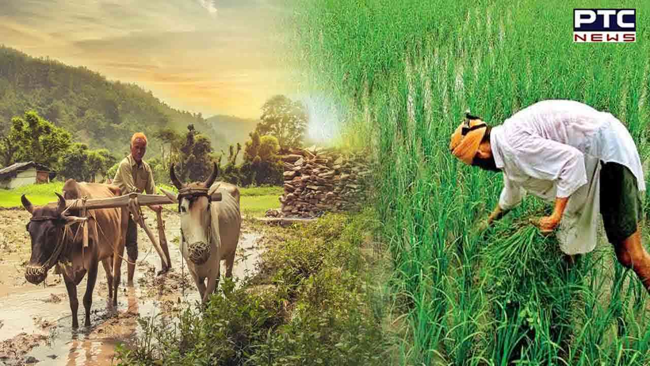 National Farmers Day 2022: History, significance and Chaudhary ...