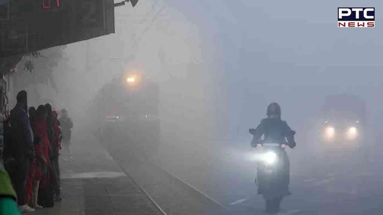 Parts of Punjab, Haryana, Delhi, Rajasthan witness cold wave