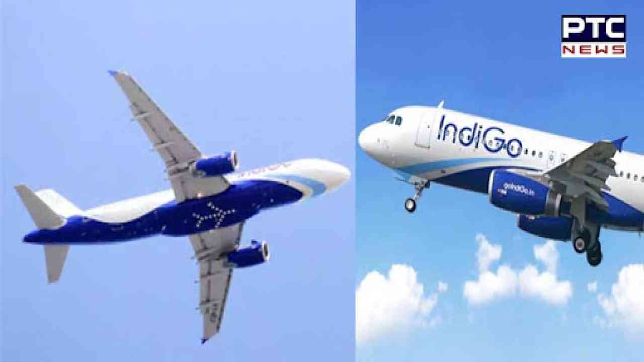 IndiGo seeks DGCA nod for induction of wide-body aircraft