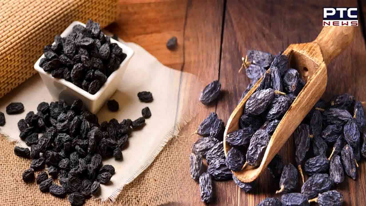 ਢਿੱਡ ਦੇ 5 ਰੋਗਾਂ ਦਾ ਸਭ ਤੋਂ ਵੱਡਾ ਦੁਸ਼ਮਣ ਹੈ 'ਮੁਨੱਕੇ ਦਾ ਪਾਣੀ'