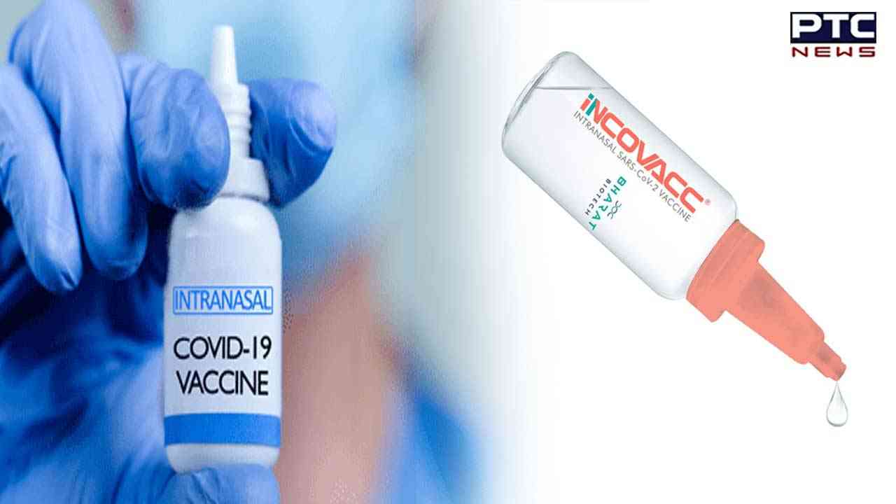 Covid 19: First intranasal vaccine as booster dose now available in India; can be taken at private centres
