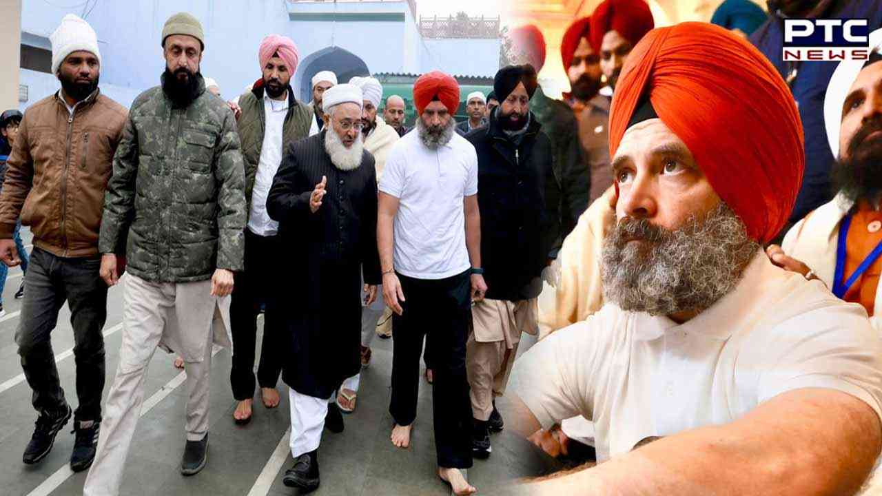 Punjab: Rahul Gandhi spotted walking barefoot amid bone-chilling cold