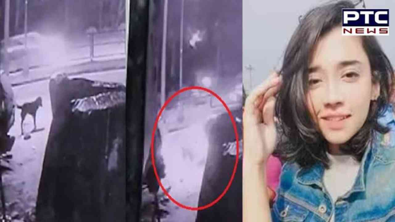 Chandigarh hit-and-run: Speeding car hits woman feeding stray dogs, video goes viral
