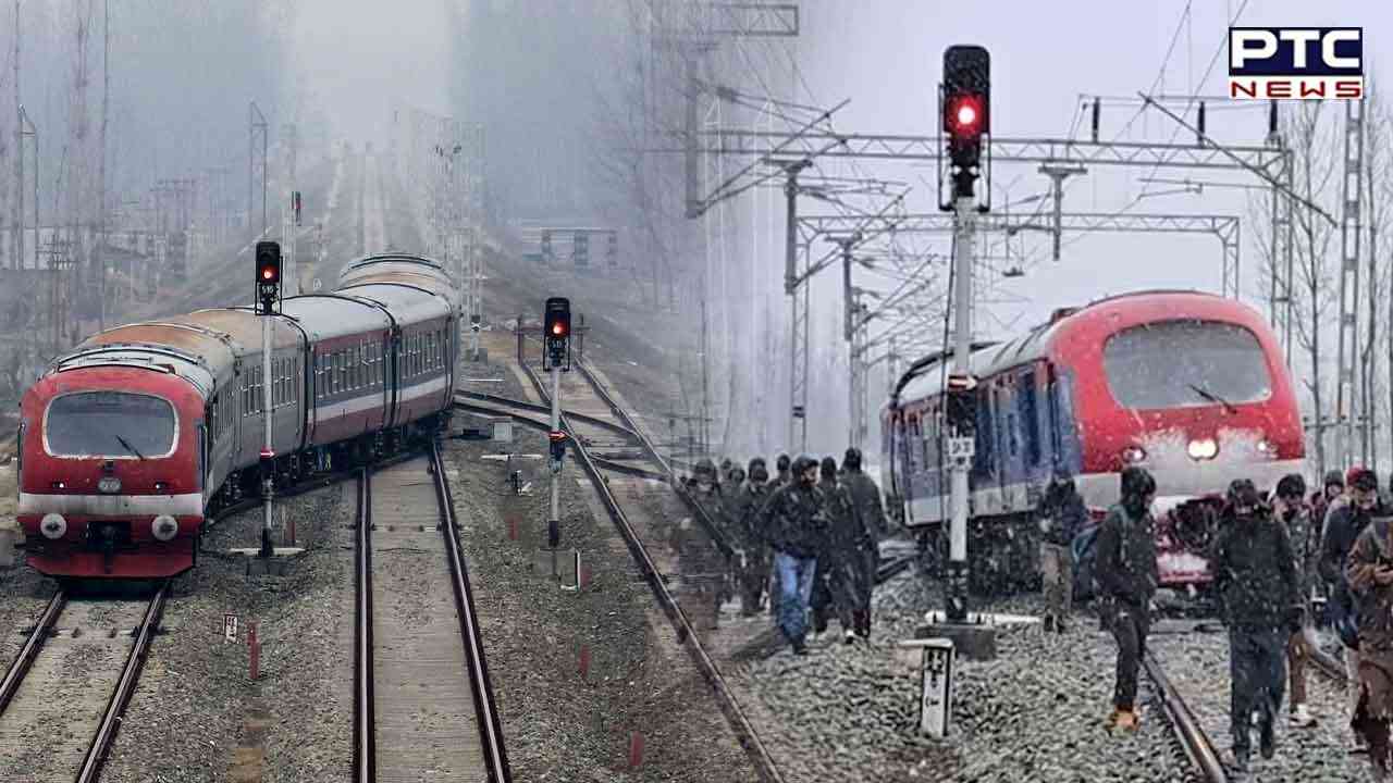 Delhi continues to reel under cold wave, wakes to thick blanket of fog