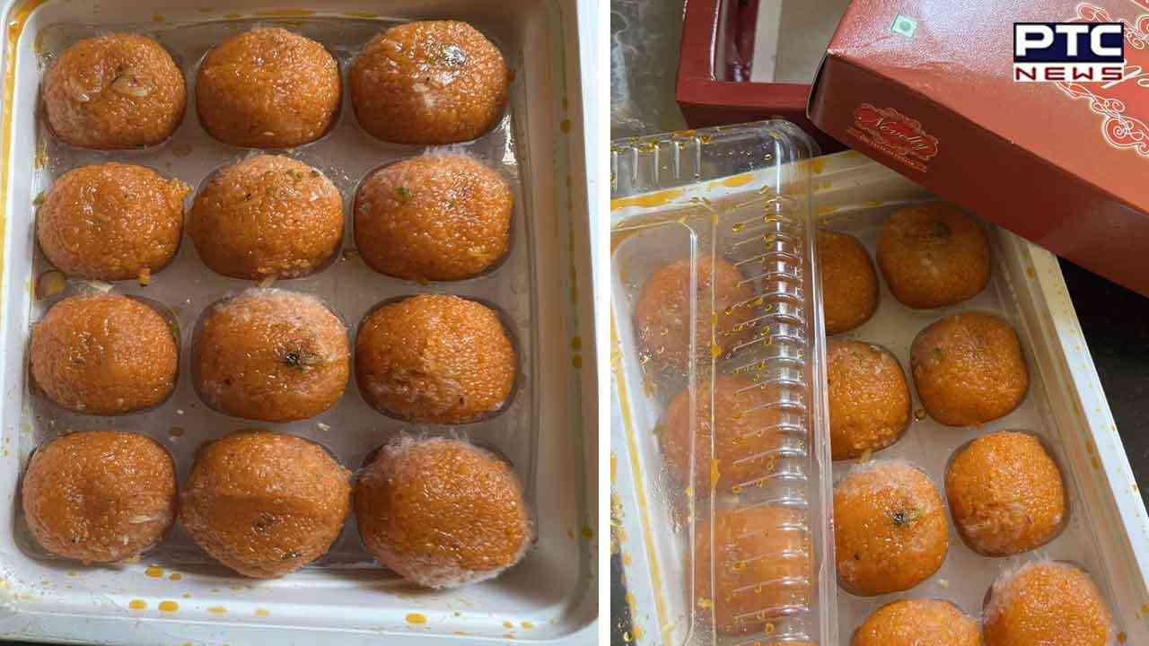 ਅੰਮ੍ਰਿਤਸਰ ਹਵਾਈ ਅੱਡੇ 'ਤੇ ਐਨਆਰਆਈ ਨੂੰ ਪੈਕ ਕੀਤੇ ਫੰਗਸ ਵਾਲੇ ਲੱਡੂ, ਤਸਵੀਰਾਂ ਲੈ ਅਥਾਰਟੀ ਨੂੰ ਭੇਜੀ ਸ਼ਿਕਾਇਤ