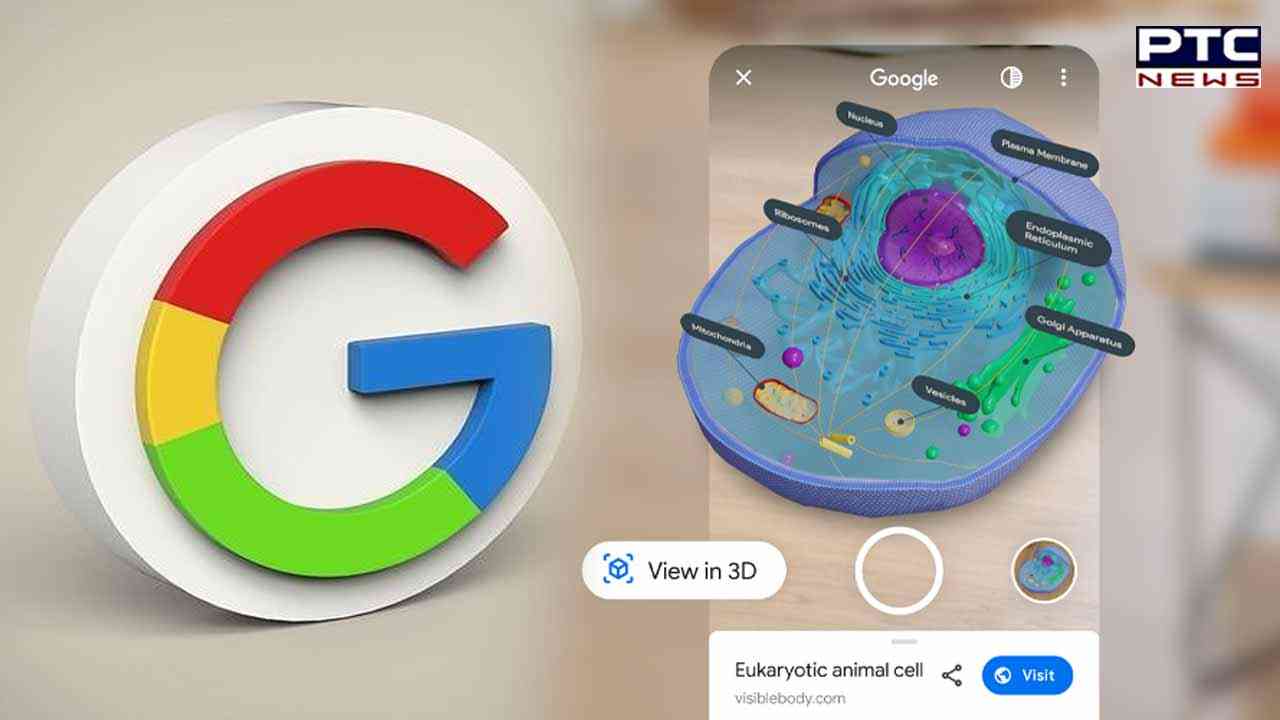 Google launches new Cloud tool for reality developers