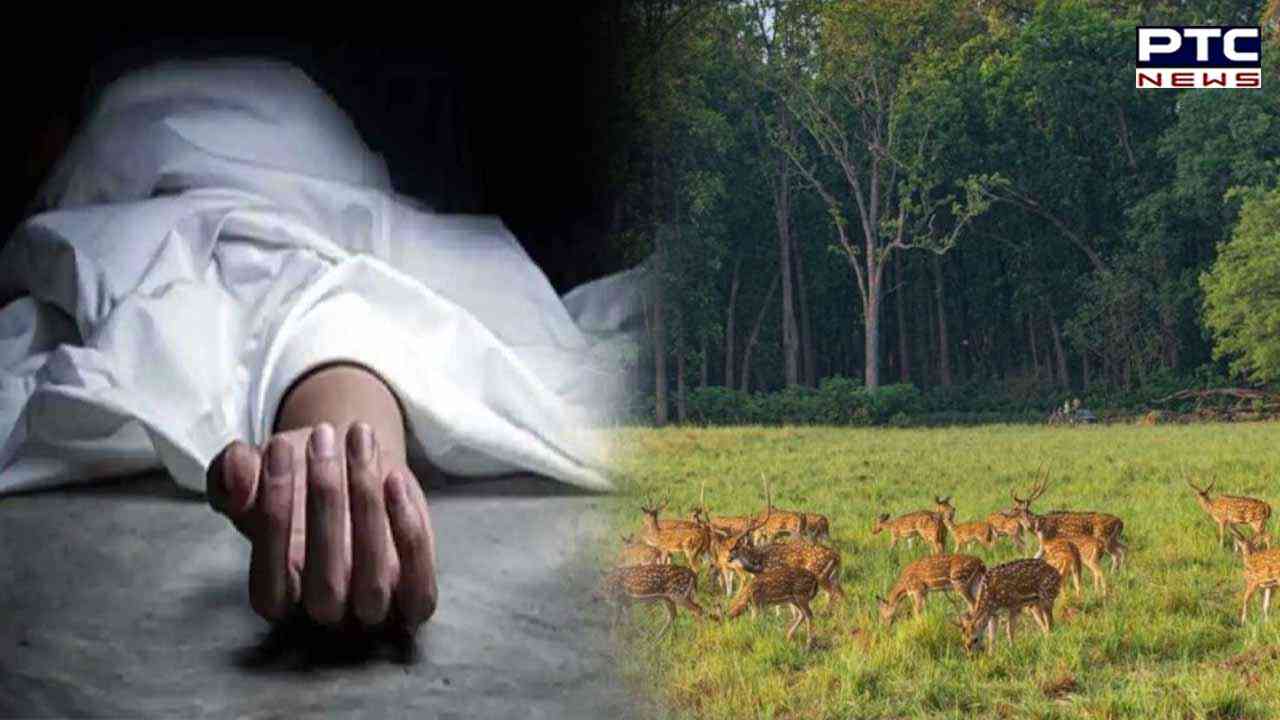 Half-eaten body of missing woman found in Corbett Tiger Reserve