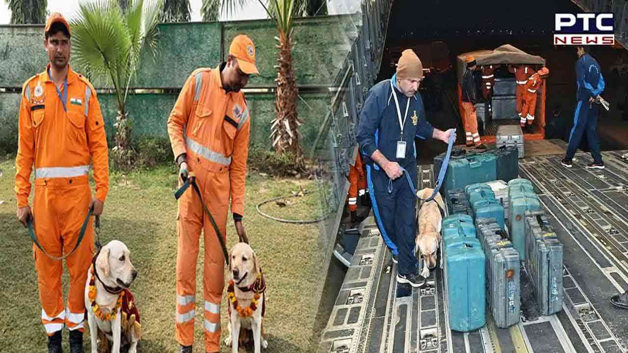 Operation Dost: NDRF team along with dog squad returns to India from earthquake-hit Turkey