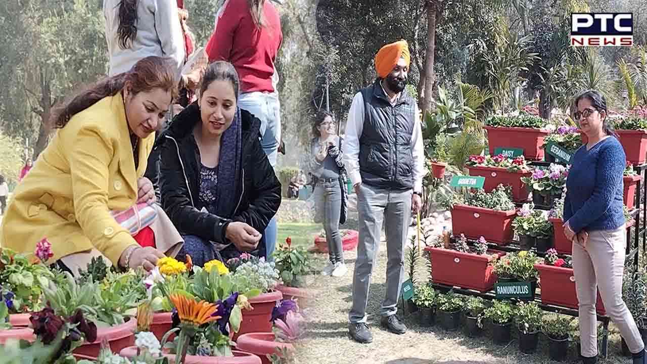 Chandigarh: 51st Rose Festival kicks off on Feb 17