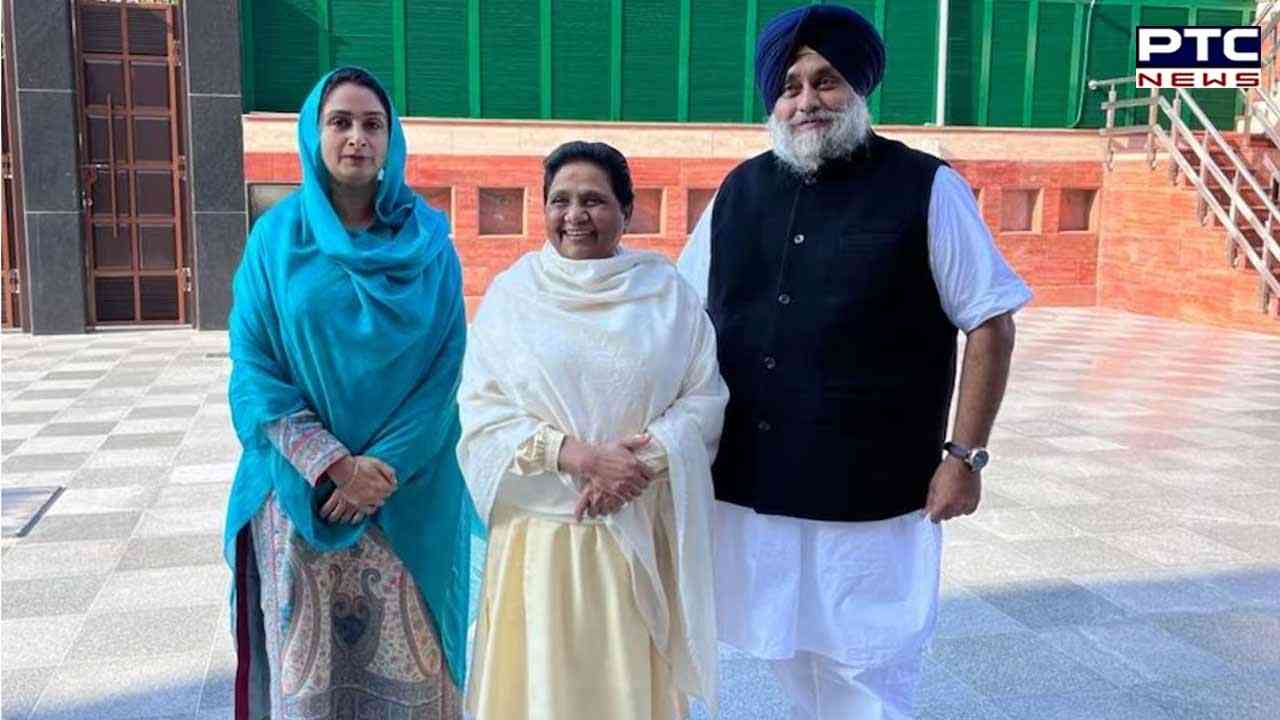 ਮਾਇਆਵਤੀ ਦਾ ਵੱਡਾ ਐਲਾਨ, ਲੋਕ ਸਭਾ ਚੋਣਾਂ ਵੀ ਅਕਾਲੀ ਦਲ ਦੇ ਨਾਲ ਮਿਲ ਕੇ ਲੜੇਗਾ ਬਸਪਾ