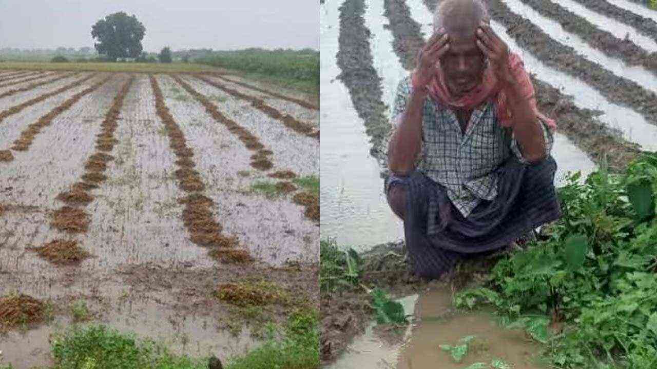 बारिश और ओलावृष्टि से हुए किसानों के नुकसान की भरपाई के लिए योगी ने दिए निर्देश