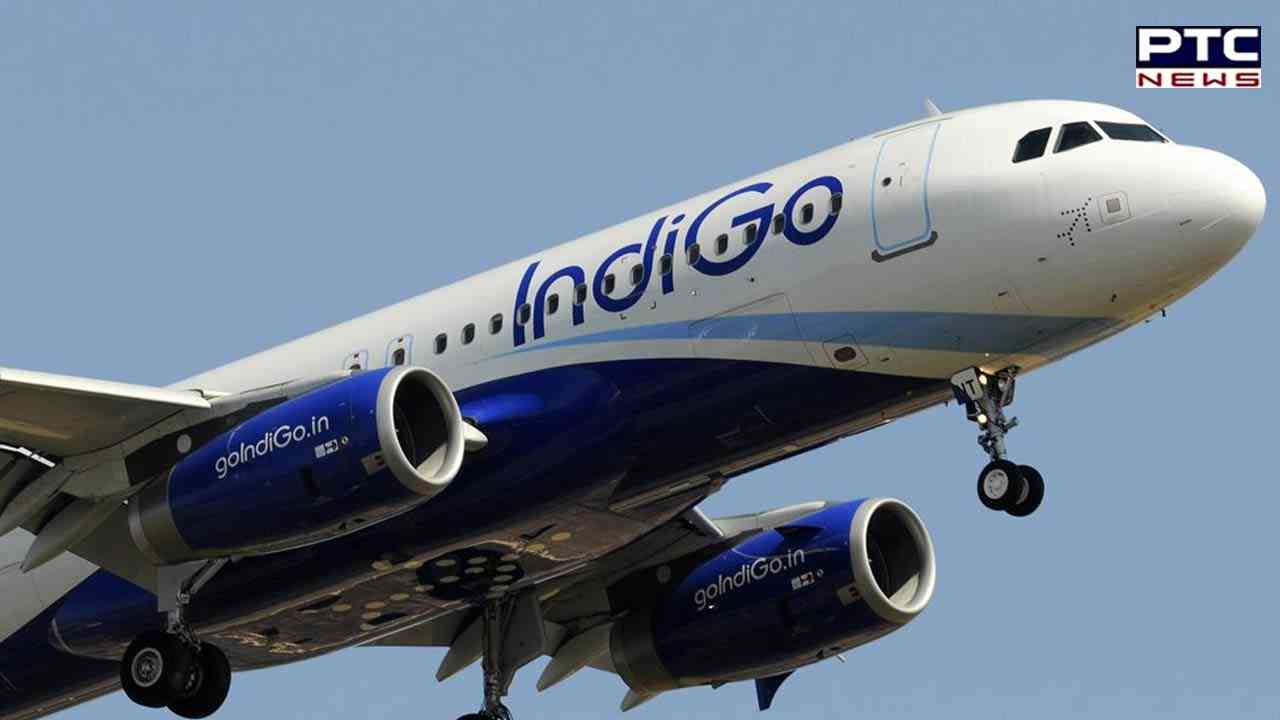 Two IndiGo flyers booked for being drunk, misbehaving with crew on Dubai-Mumbai flight