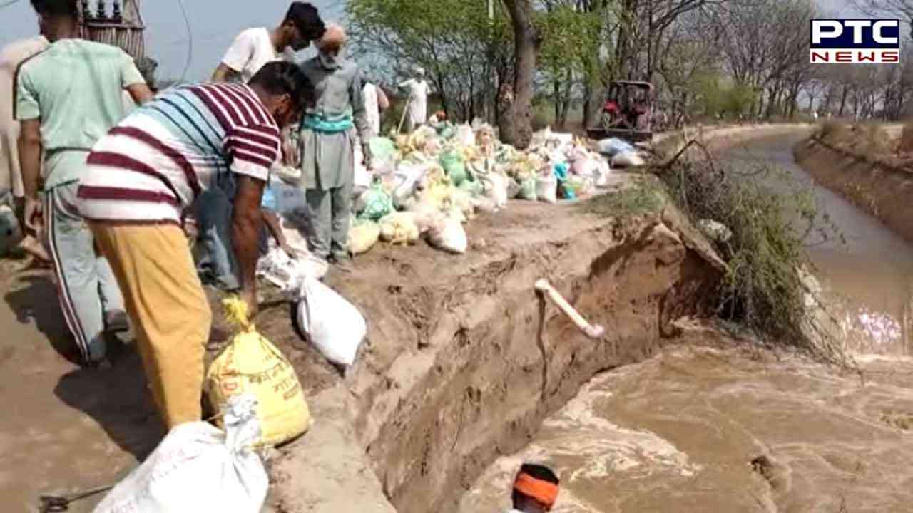 breach in the canal : ਰਜਵਾਹੇ 'ਚ ਪਾੜ ਪੈਣ ਨਾਲ 400 ਏਕੜ ਕਣਕ ਡੁੱਬੀ