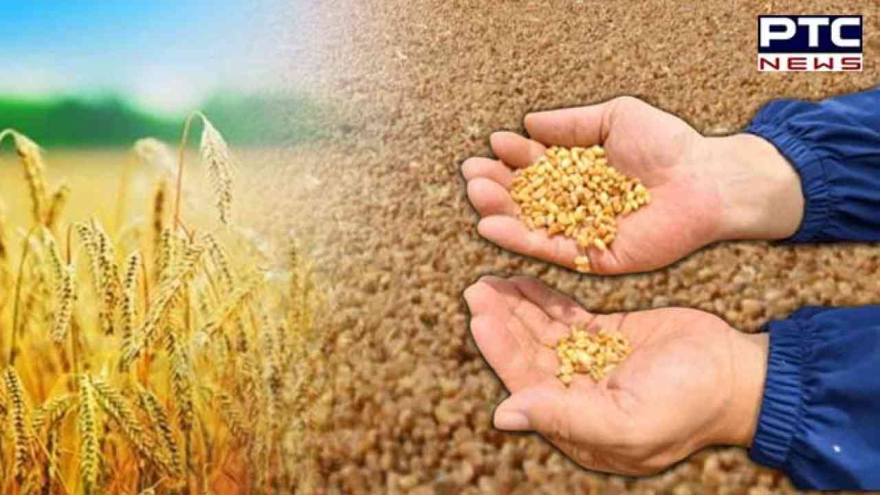 Govt committed to ensure hassle-free wheat procurement from April 1: Punjab Minister
