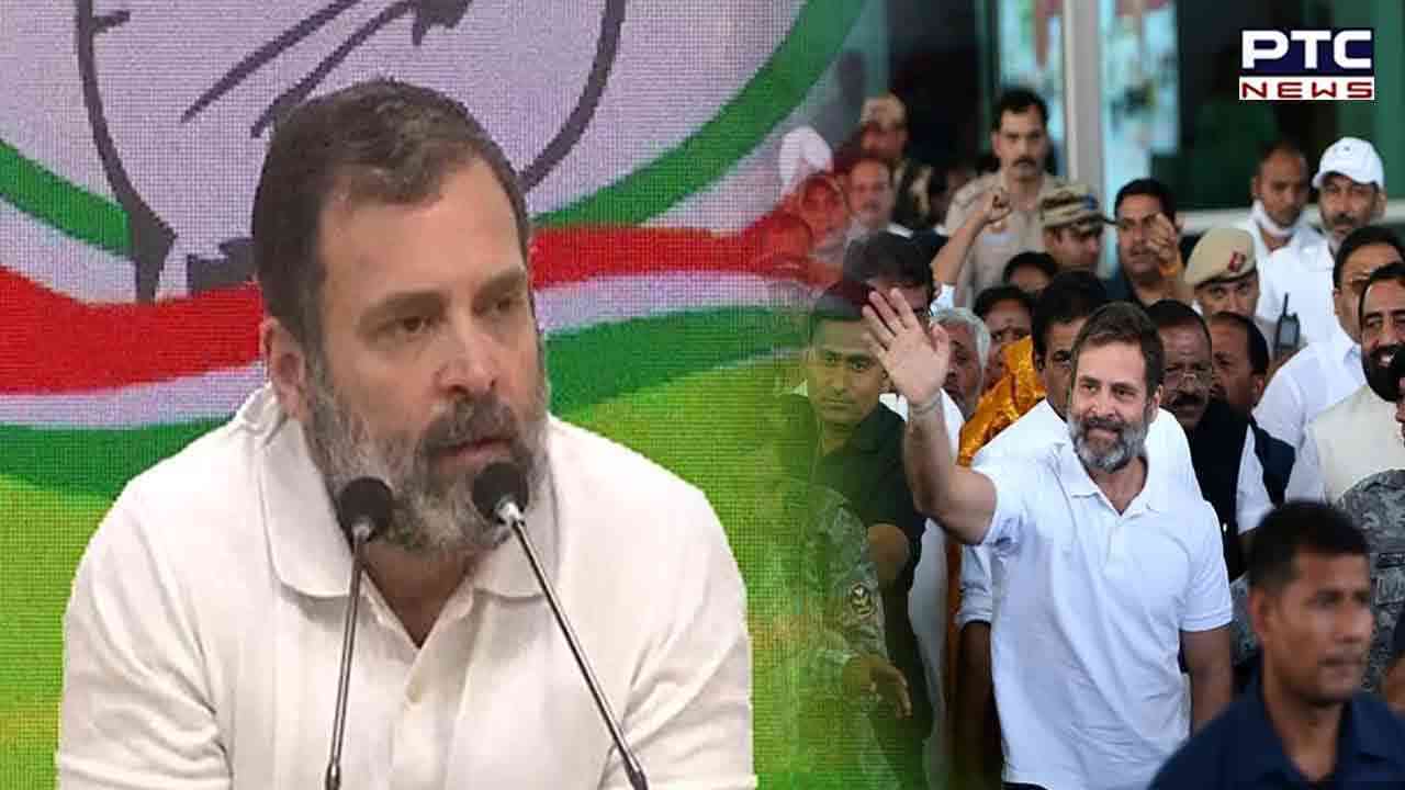 'Not scared...' Rahul Gandhi day after disqualification from Lok Sabha
