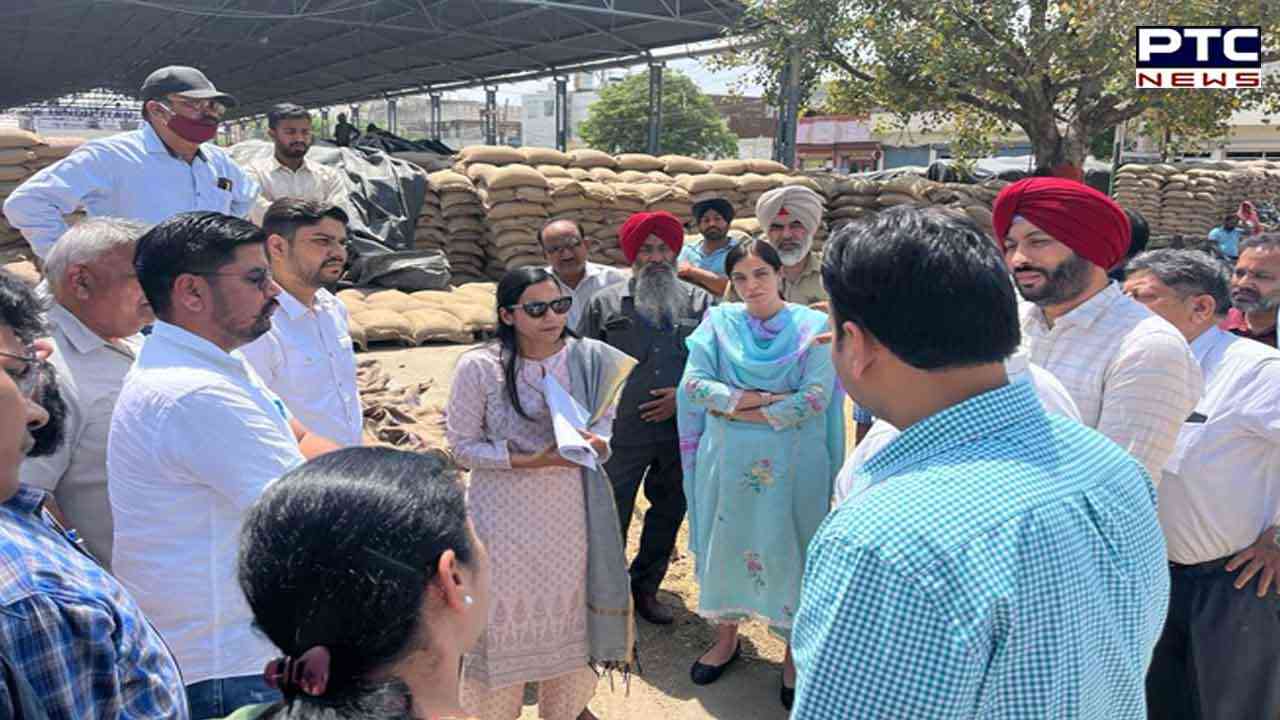 Patiala DC Sakshi Sawhney visits grain markets to review the procurement process