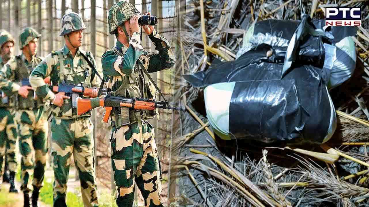 BSF seizes 4.5 kg drugs dropped by drone in Punjab's Fazilka sector