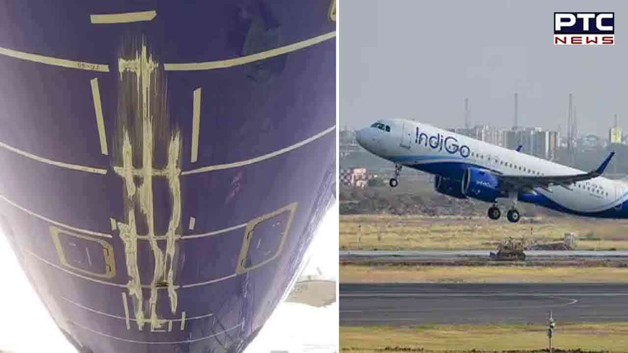 IndiGo airlines under lens after tail strike incident at Nagpur airport; DGCA reacts