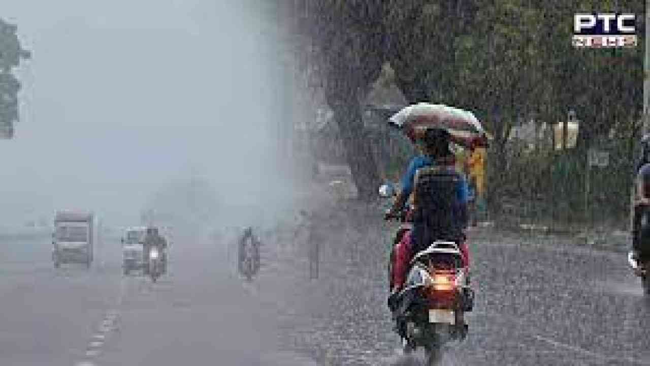 Untimely rain and hailstorms cause huge loss to farmers in northern India