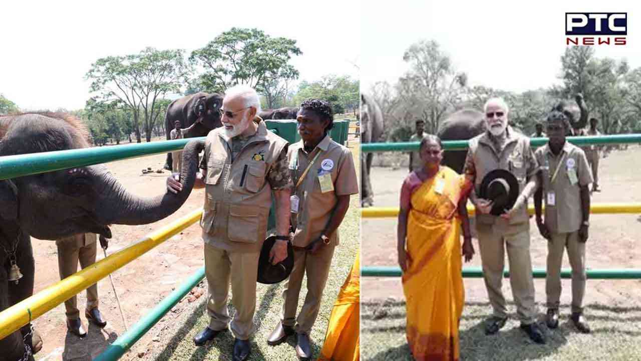 PM Modi meets Oscar-winning 'The Elephant Whisperers' couple Bomman, Bellie