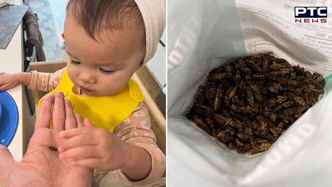 Know what Canadian woman feeds to her baby to cut down grocery bills?