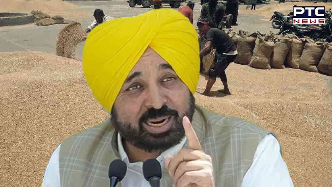 Centre relaxes quality norms for wheat purchase in Punjab; imposes value cut