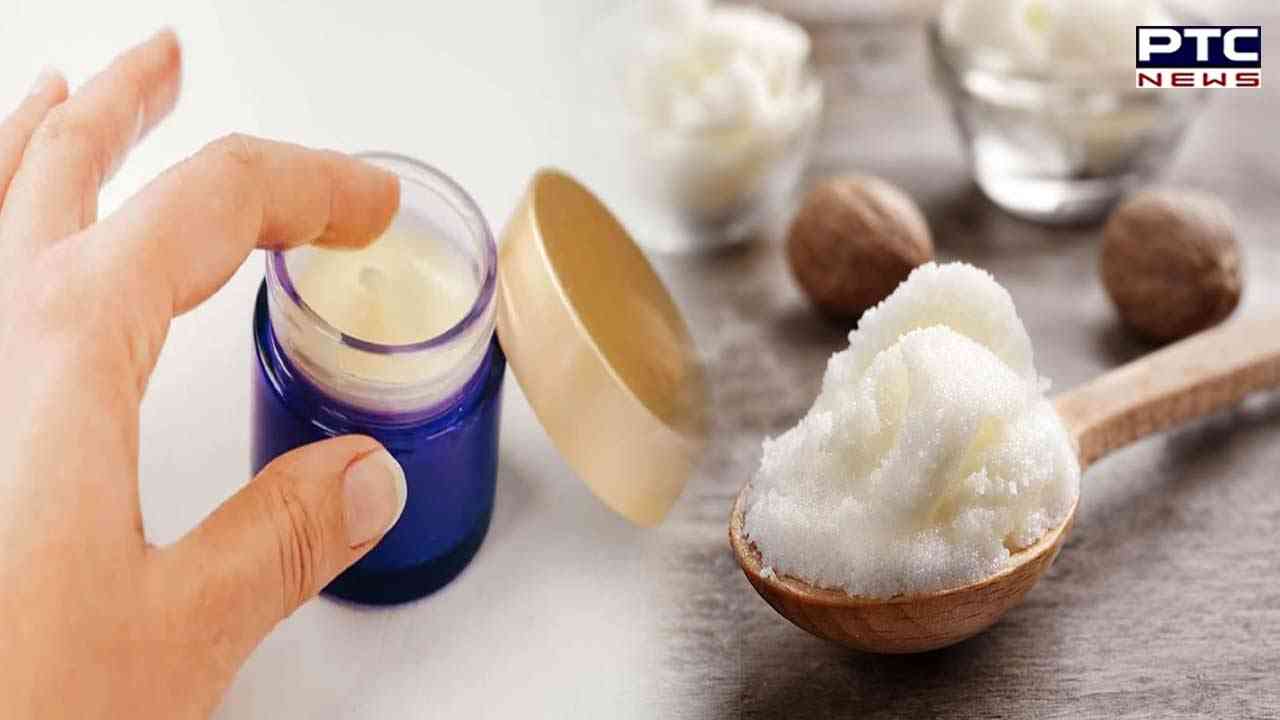 Tanning Remedies: ਗਰਮੀ ਆਉਂਦਿਆਂ ਹੀ ਸਤਾਉਣ ਲੱਗਾ ਹੈ ਟੈਨਿੰਗ ਦਾ ਡਰ, ਇਸ ਘਰੇਲੂ ਸਨਸਕ੍ਰੀਨ ਨਾਲ ਪਾਓ ਚਮਕਦਾਰ ਚਮੜੀ