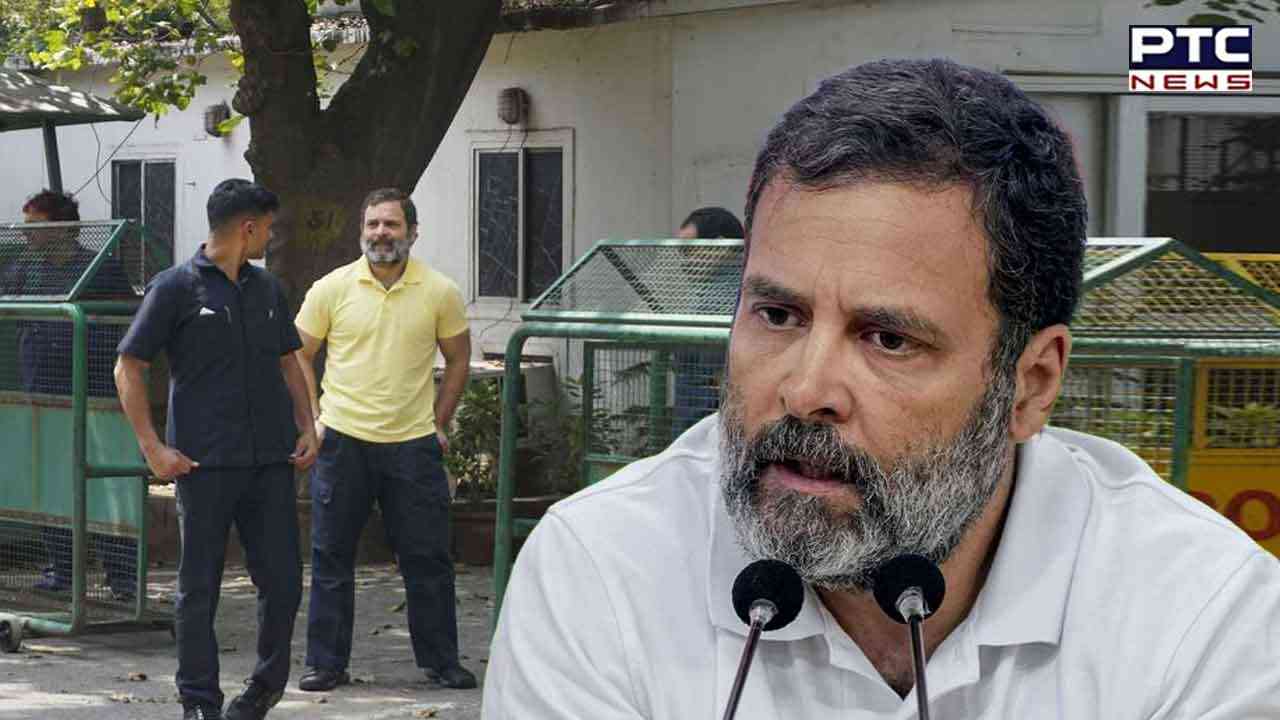 Defamation case: Rahul Gandhi to appeal against conviction in Surat court