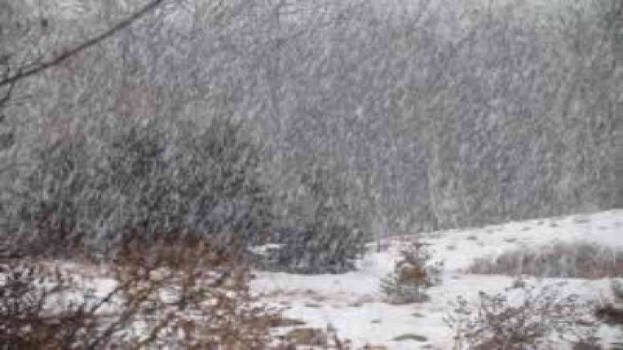 हिमाचल में भारी बारिश की चेतावनी, येलो अलर्ट जारी, बर्फबारी के भी आसार